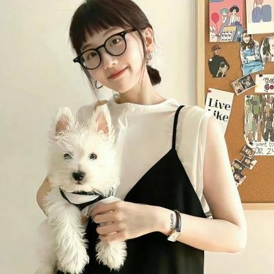 自由鸟